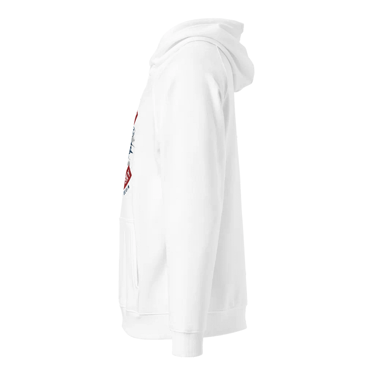 Skyward Soar Vintage Biplane Hoodie product image (2)