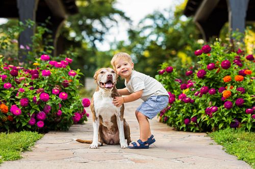 Viv and her hoomans were an absolute joy to photograph! Their positive energy made the session so much fun. Viv is such a swe...