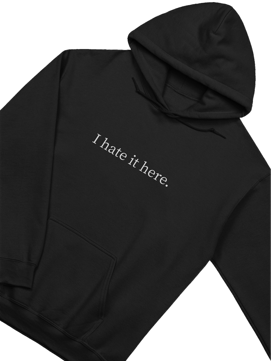 I hate it here Hoodie product image (3)