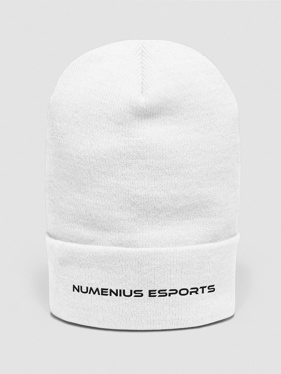 Numenius Esports Beanie - White product image (1)