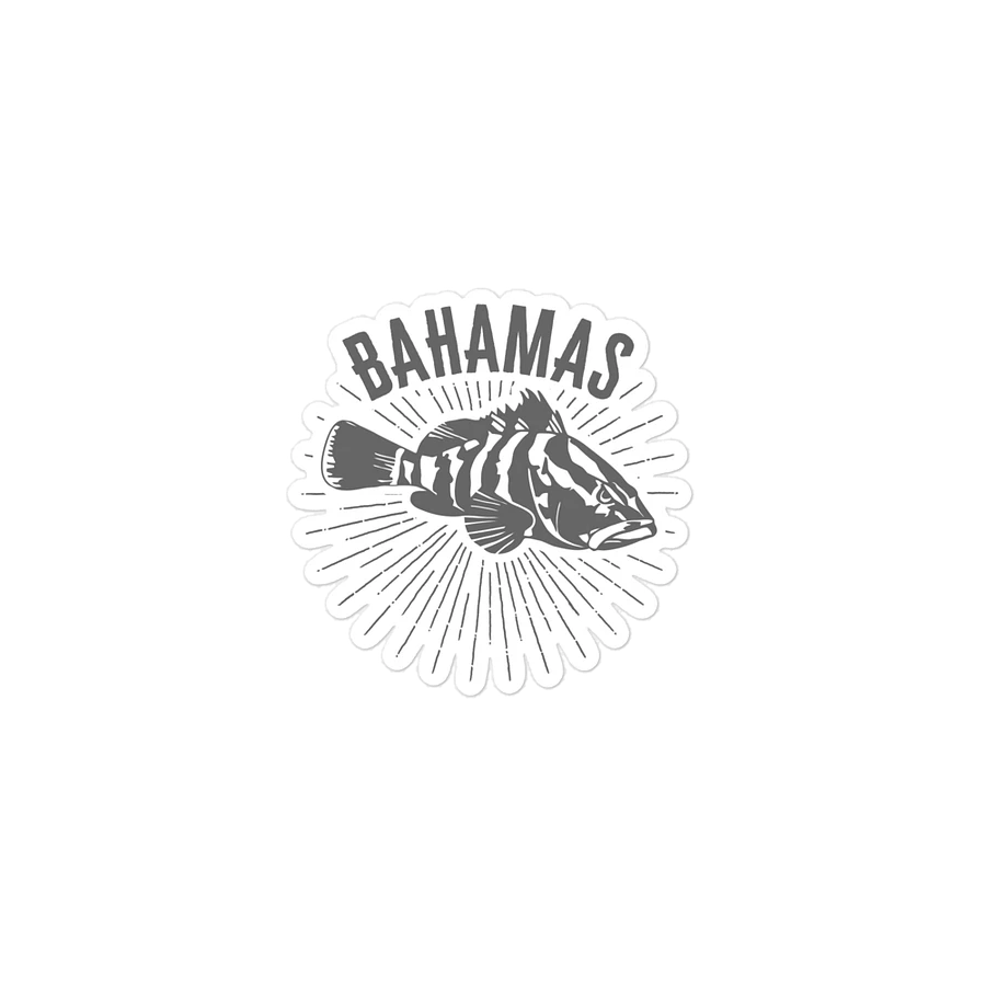 Bahamas Magnet : Bahamas Fishing Nassau Grouper Fish product image (2)