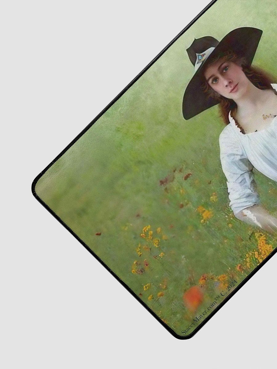 Pioneer Woman DeskMat product image (3)