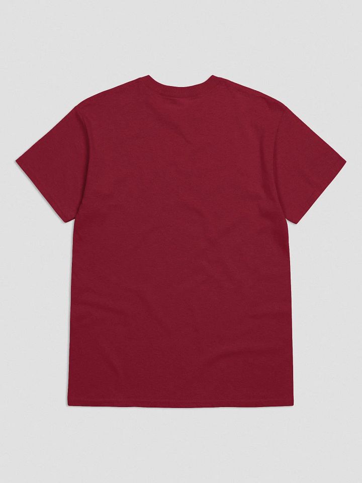 Park to Prem T-Shirt (Colour) product image (5)
