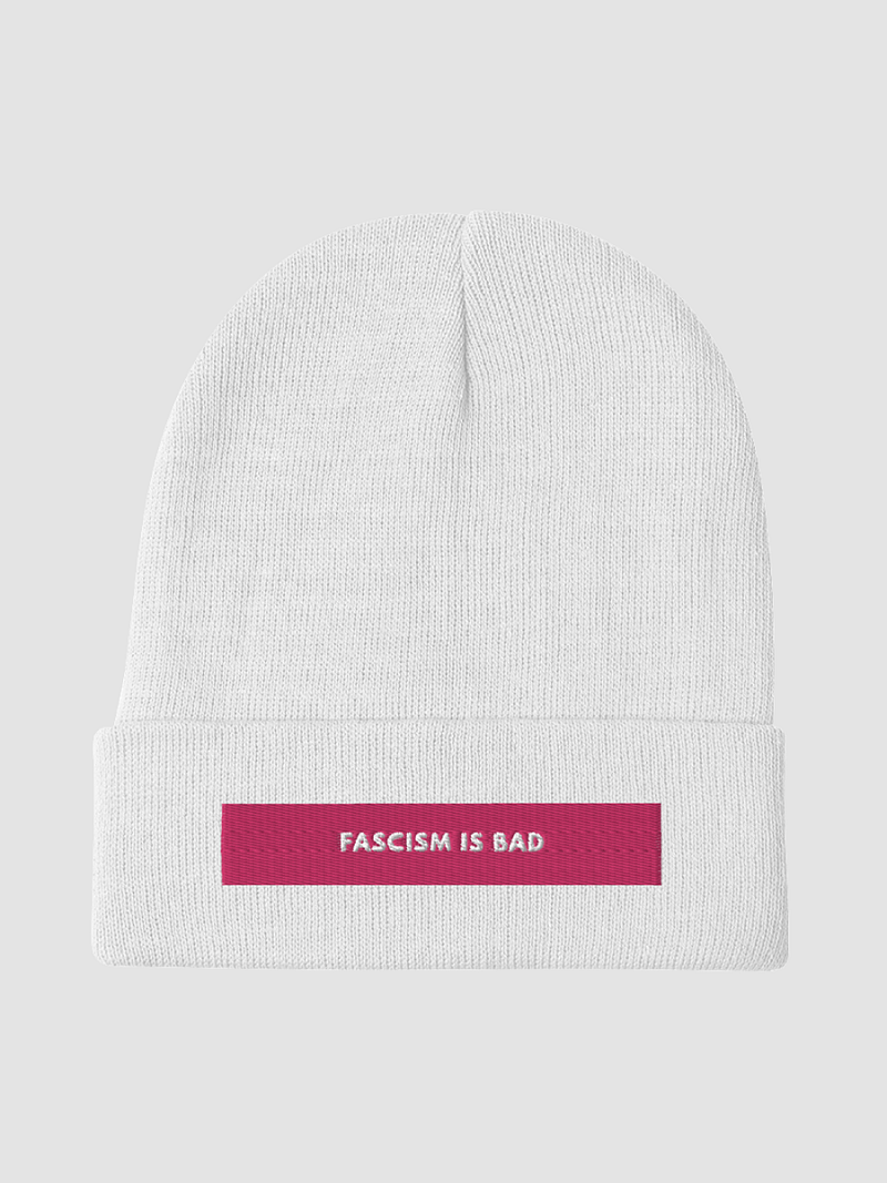 Fascism Is Bad Knit Beanie