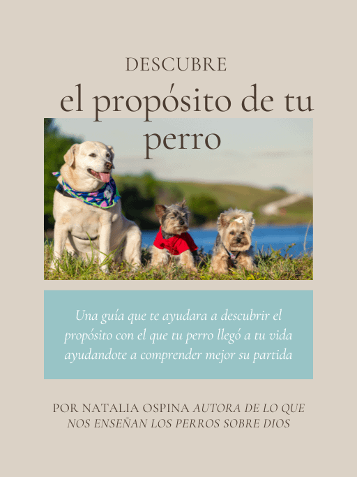E-Book: Descubre el propósito de tu mascota en tu vida en 7 pasos product image (1)