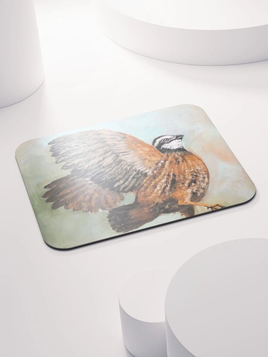 Bobwhite quail product image (4)