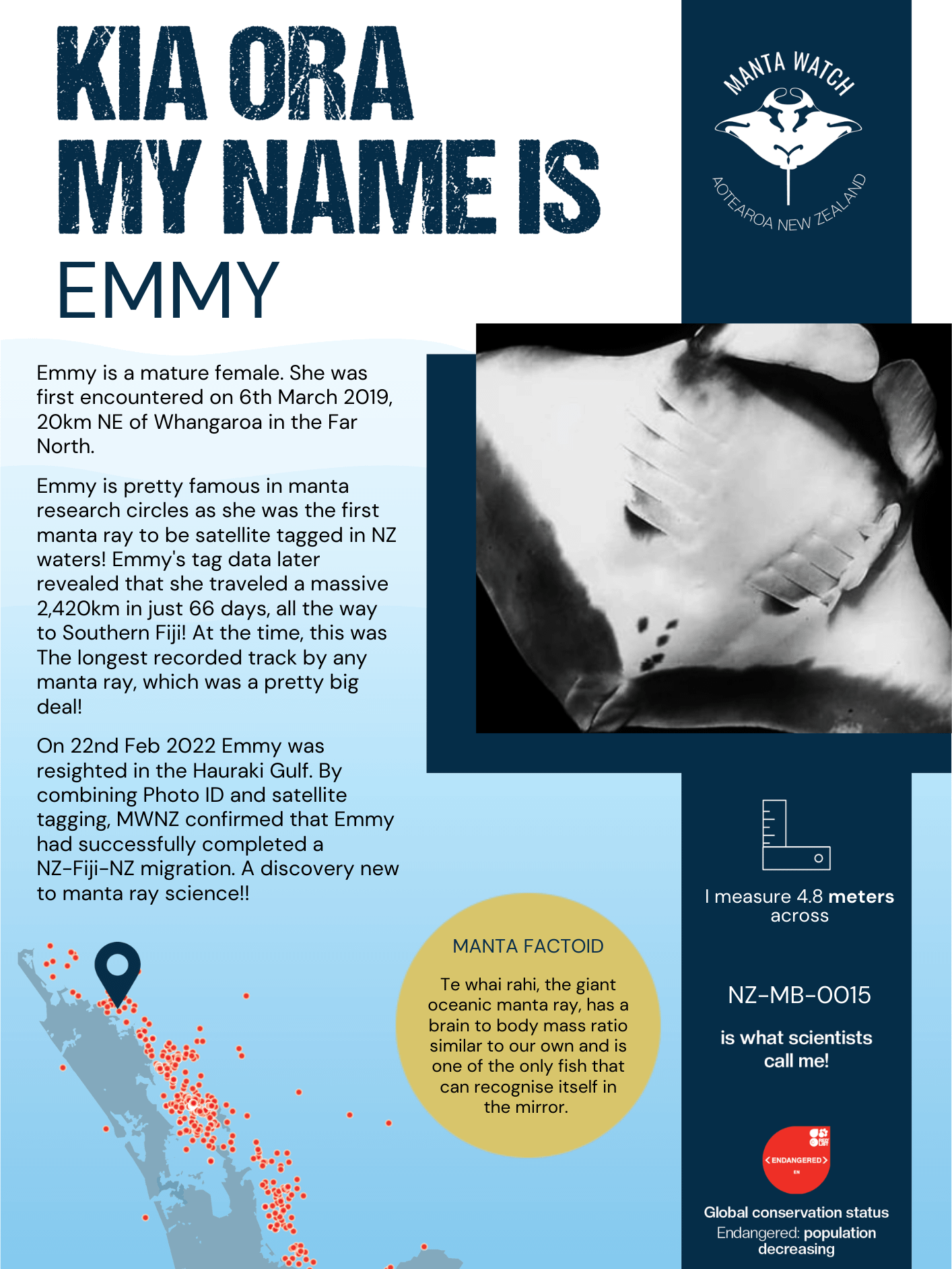 Emmy - Adopt A Manta Pack product image (1)