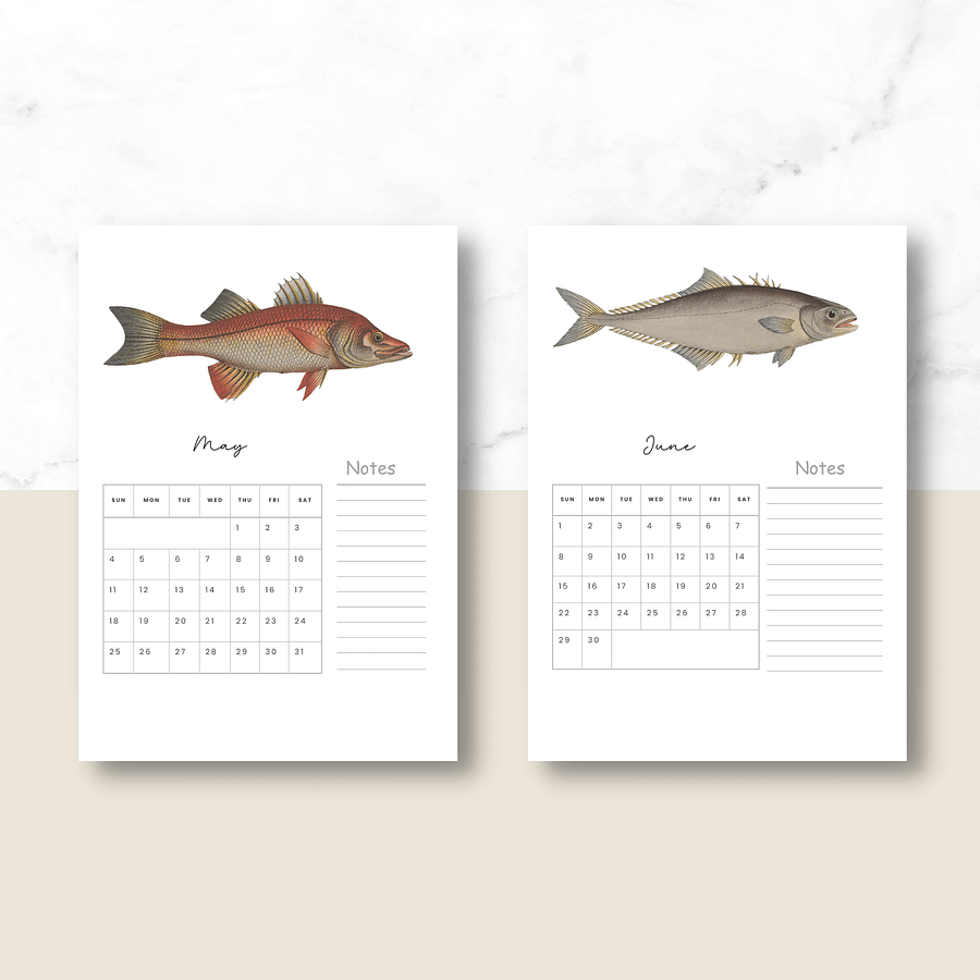 2025- 2026 PDF Calendar: Ocean Life product image (4)