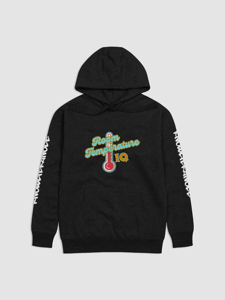 Room Temp Promoter Hoodie product image (3)