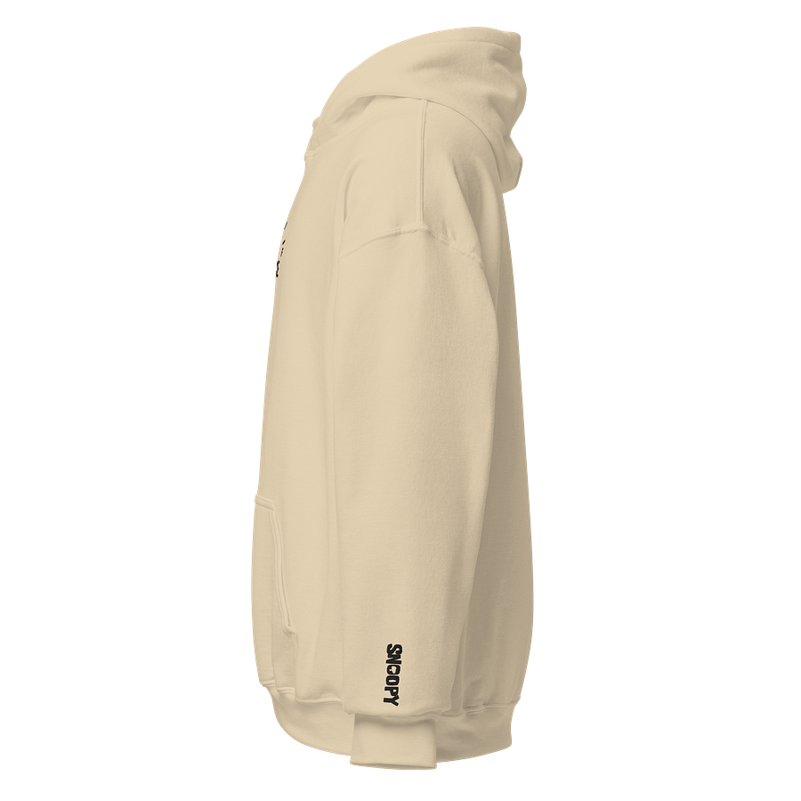 Patience of Empty Embroidered Hoodie product image (3)