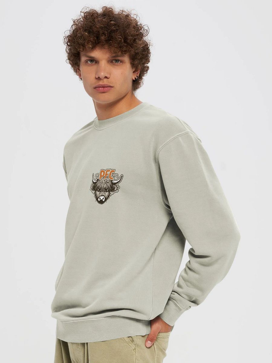 Highland Cow Pigment Dyed Sweatshirt product image (4)