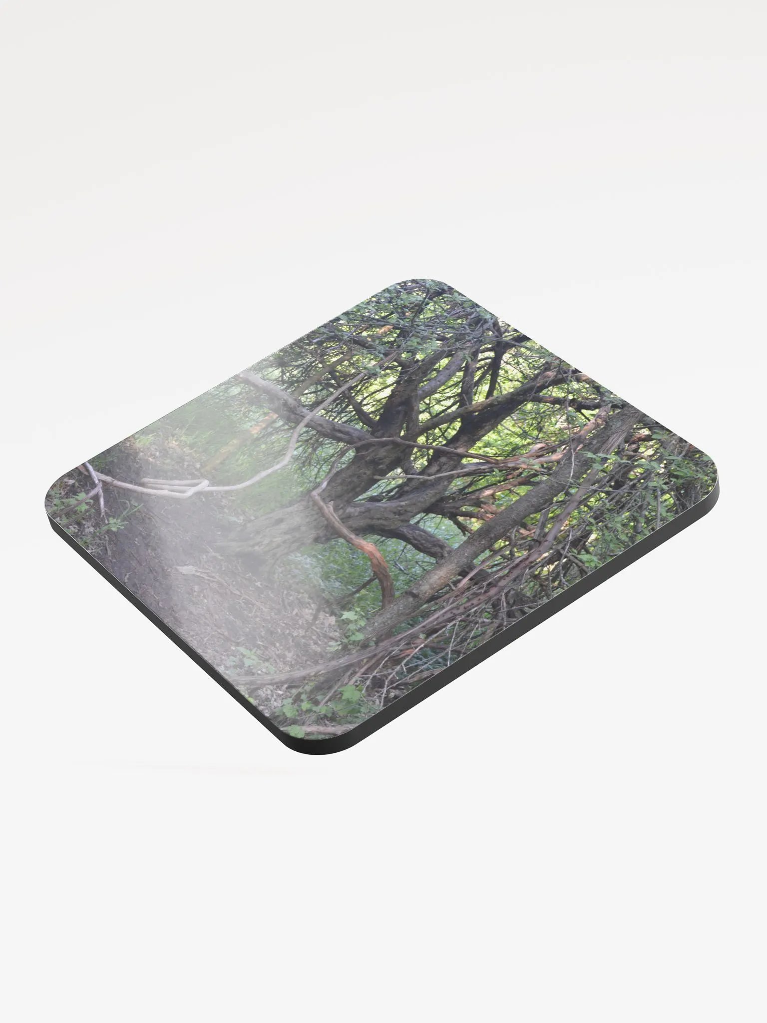 Branch Tree Cork Coaster product image (3)