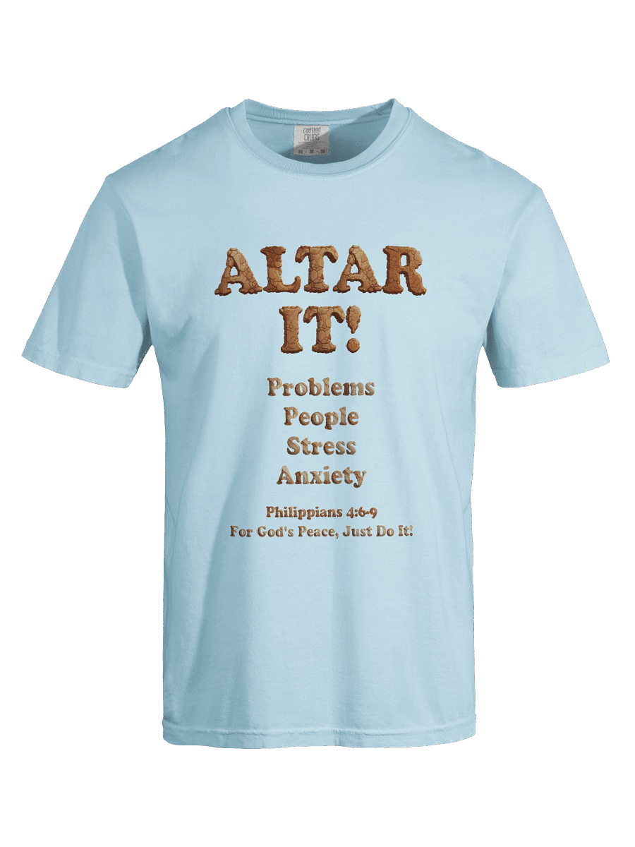 Altar It Relaxed Fit heavyweight T-Shirt product image (89)