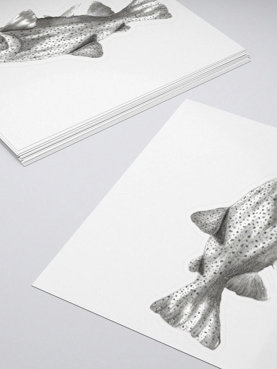 Trout Drawing Sticker product image (11)