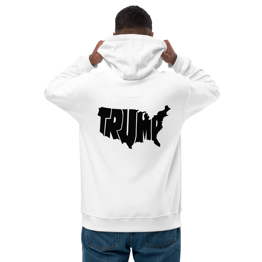 Landmark USA Hoodie product image (3)