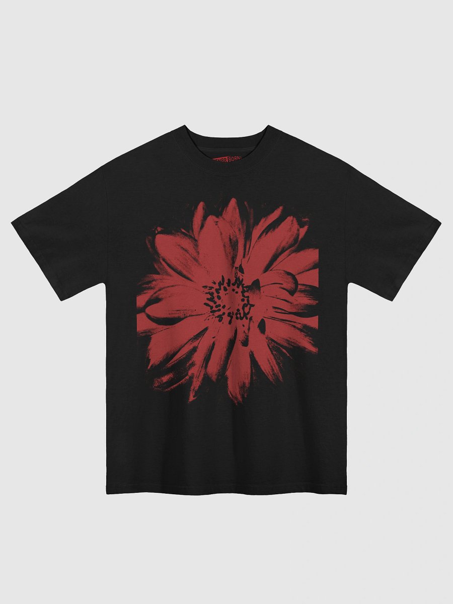 ZINNIA product image (1)