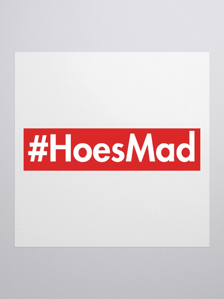 #HoesMad Sticker product image (1)