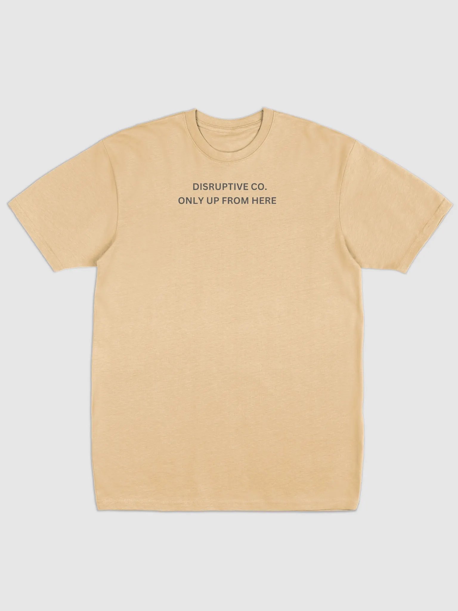 NEVER COMING DOWN product image (22)