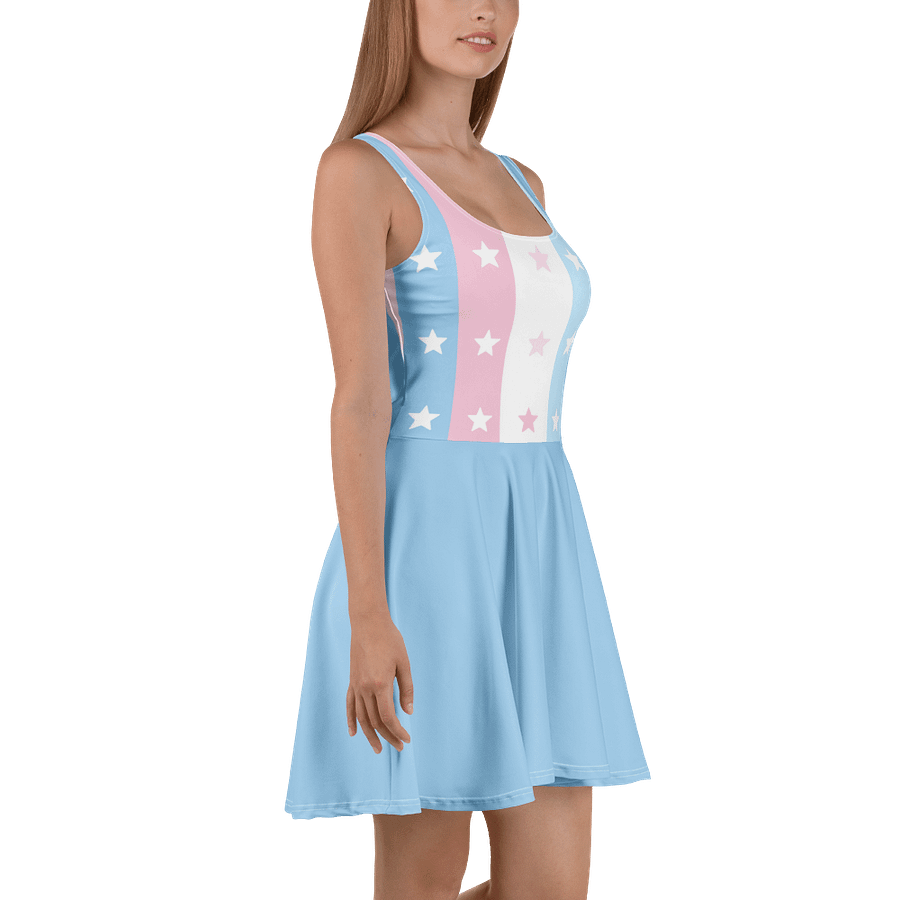 Subtle Trans Flag Skater Dress product image (3)