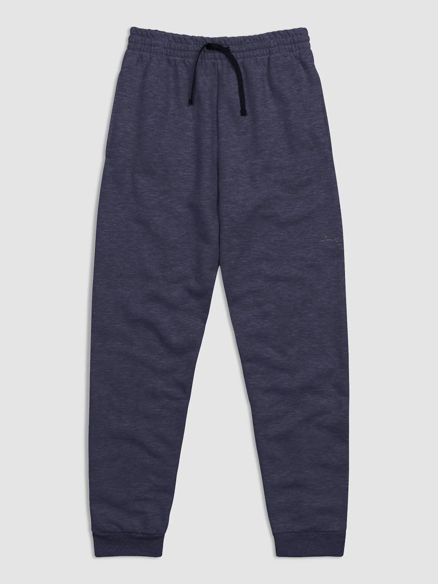 DWS Athletic Joggers product image (1)
