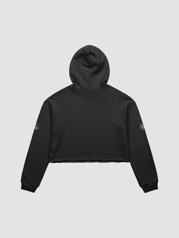 Sparrow Ranger crop hoodie product image (2)