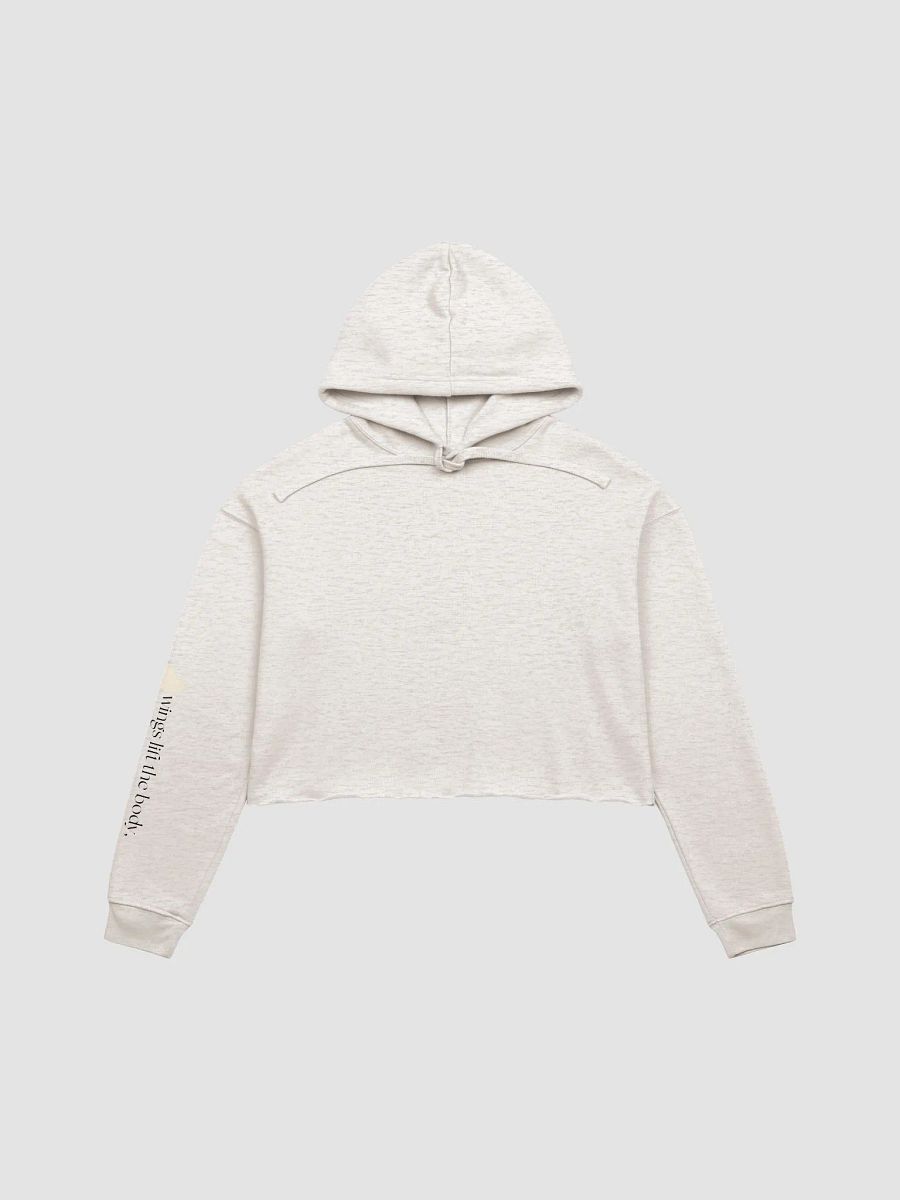 Ethereal Wings Crop Hoodie product image (3)