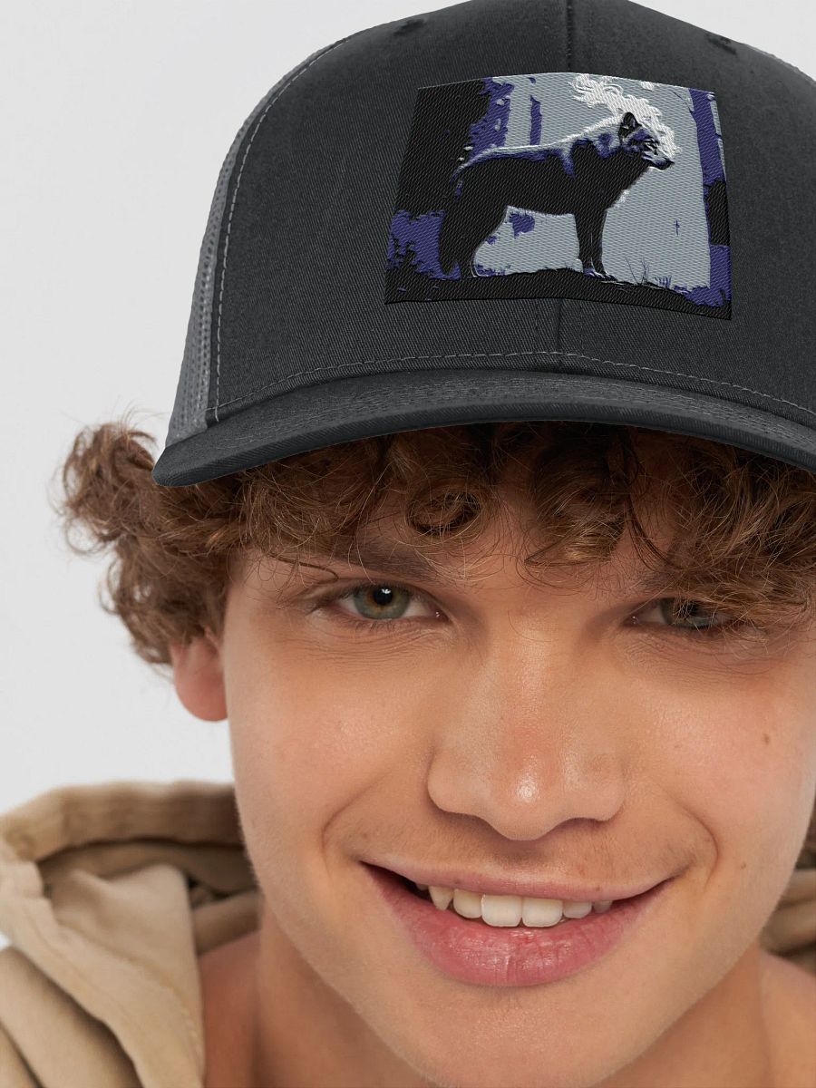 beautiful cap with a wolf logo product image (8)