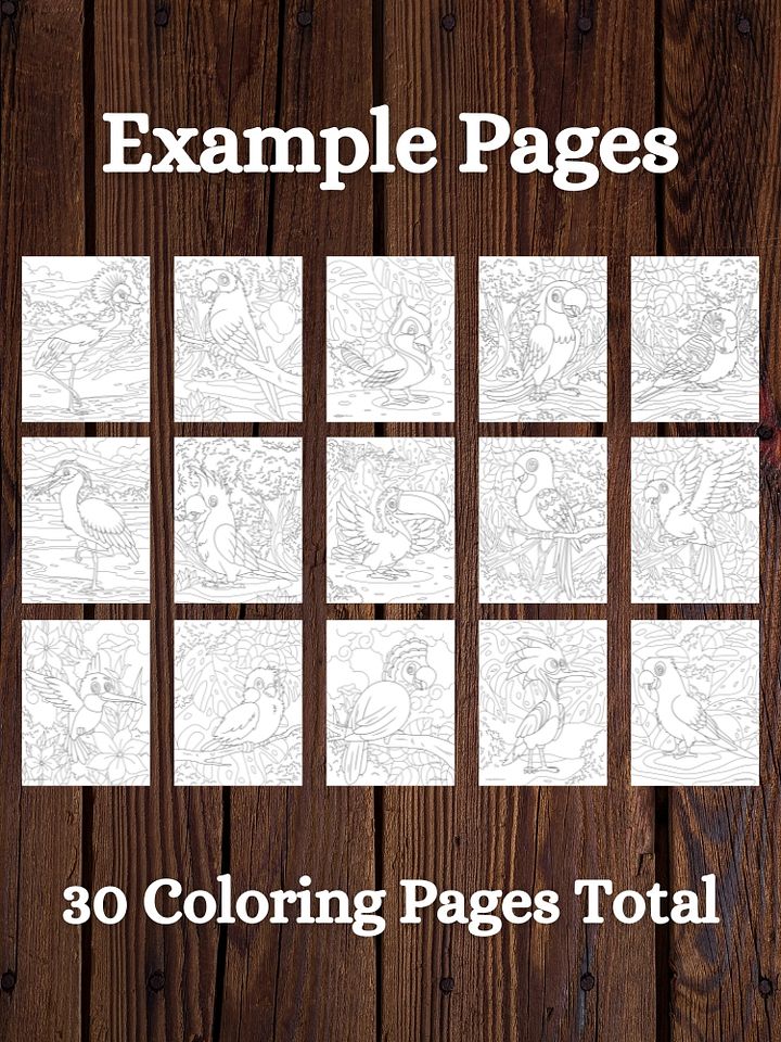 Tropical Birds Printable Coloring Pages product image (2)