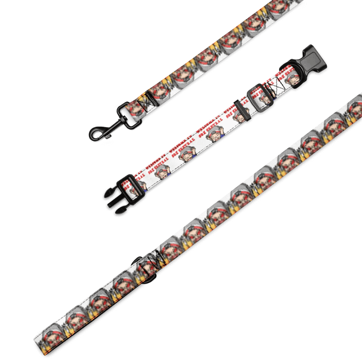 Sox Sentral Collar/Leash Combo product image (1)