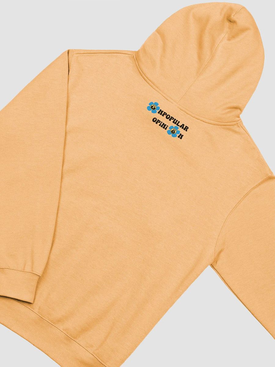 CHILDISH GAMBINO Bonfire Hoodie product image (17)