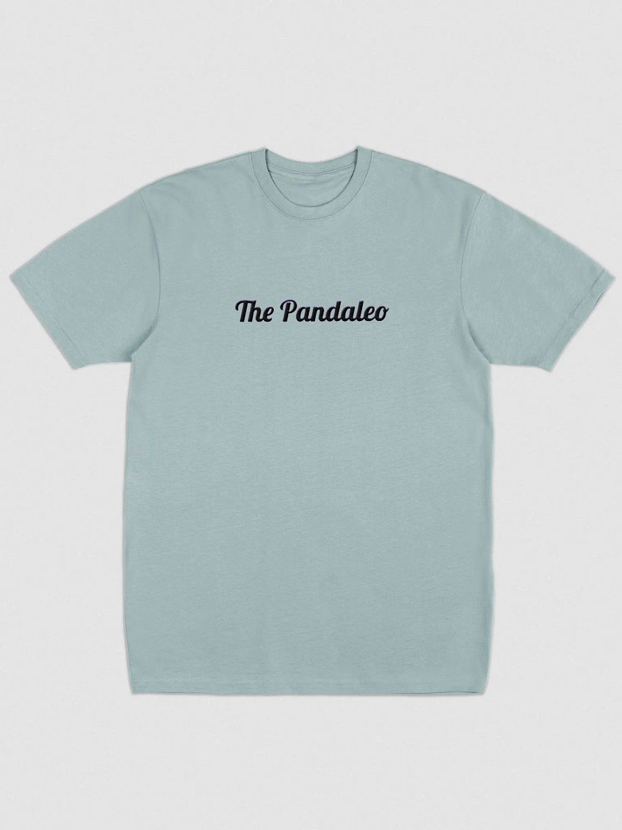 The Plain-a-leo Tee product image (1)