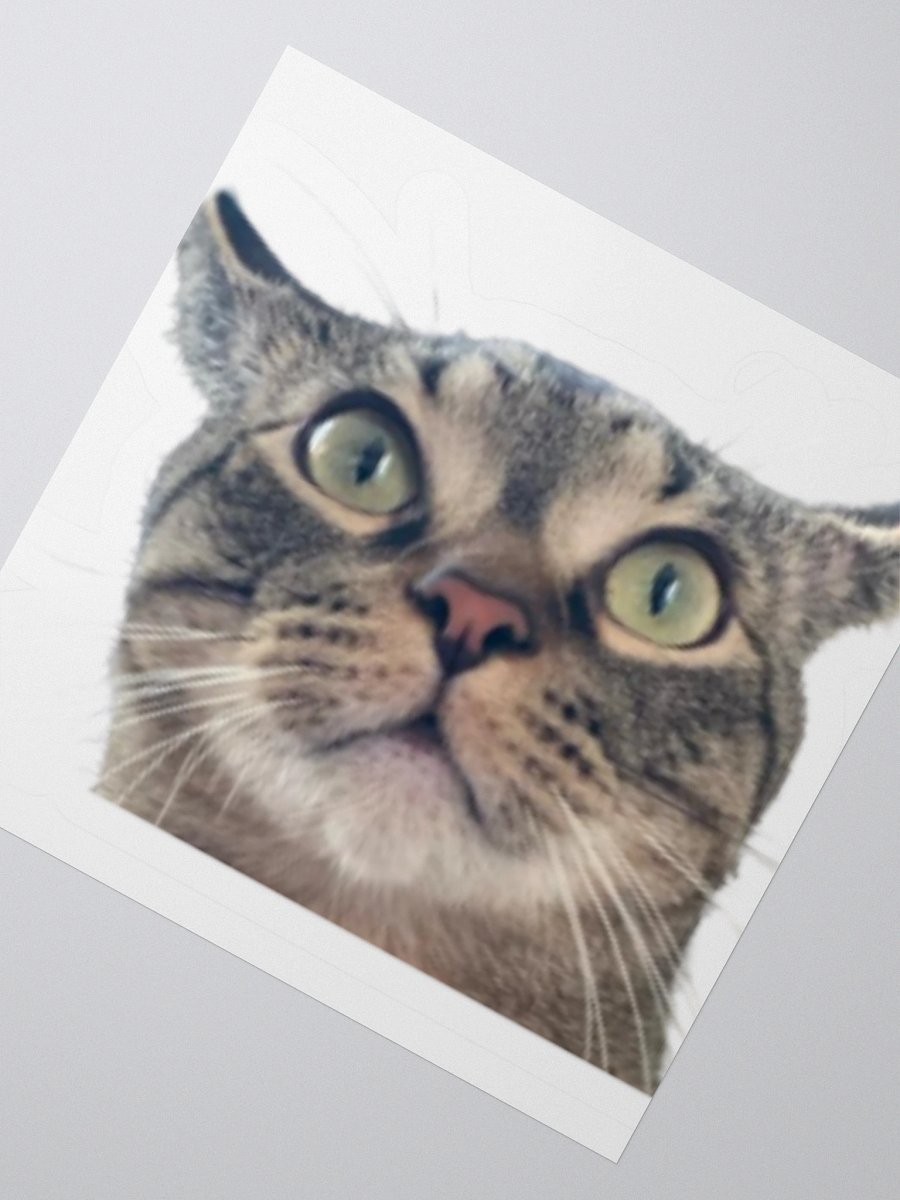 Luke Sticker product image (4)