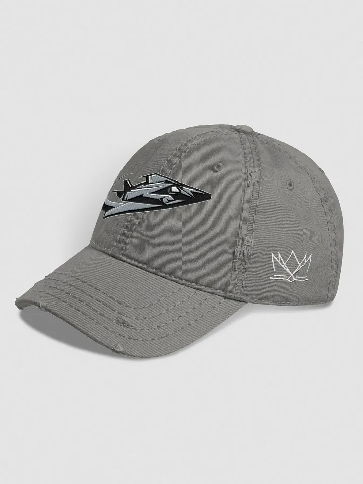 Virginia Beach Nighthawks Distressed Dad Hat product image (2)