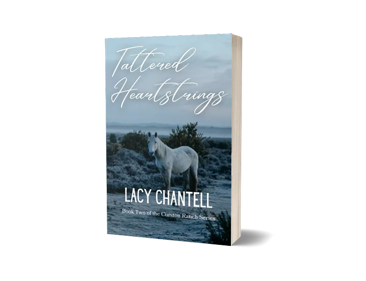 Imperfect Tattered Heartstrings Paperback product image (1)