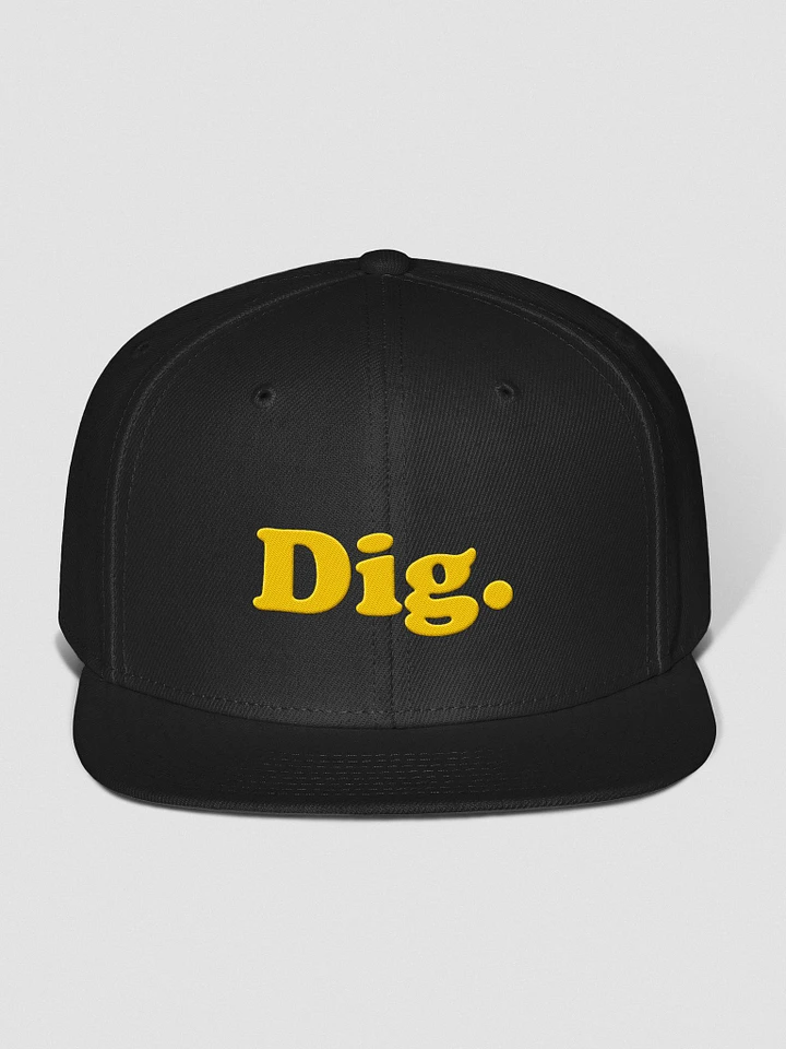 Dig. Snap Back Hat product image (1)