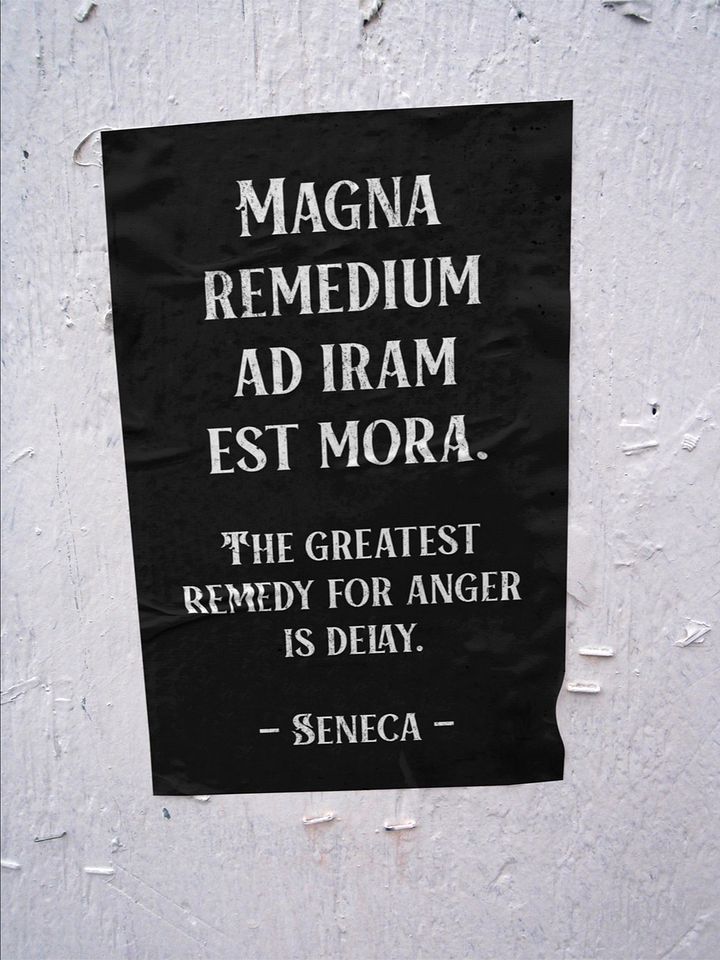 Seneca Stoic Quote Printable Poster product image (2)