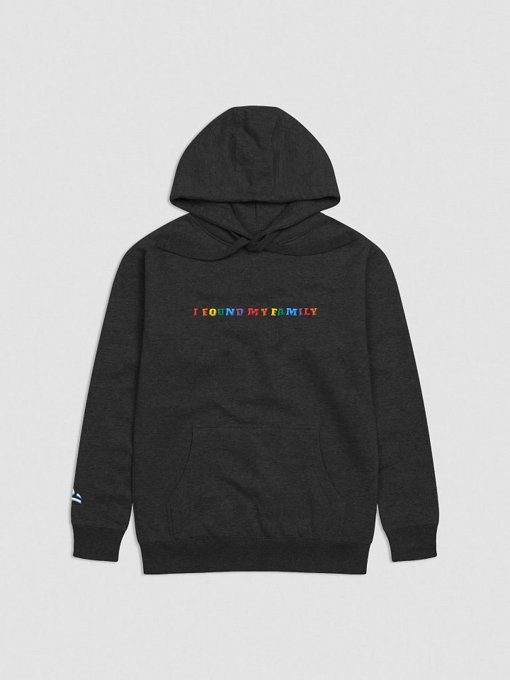 I Found My Family Embroidered Hoodie product image (1)