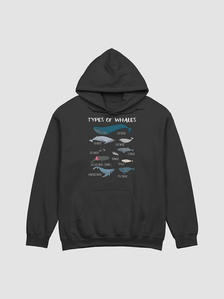 Types of Whales - Black Hoodie product image (1)
