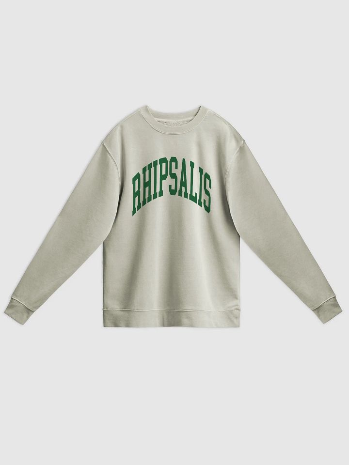 RHIPSALIS varsity unisex midweight pigment dyed crewneck product image (1)