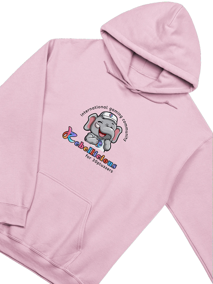 Gildan Classic Hoodie product image (2)