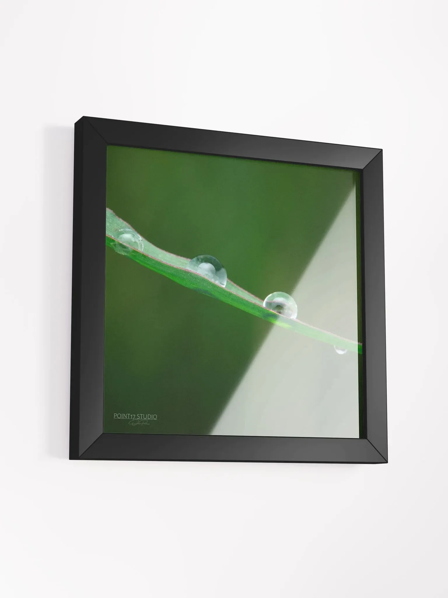 Dew Gems #5 - Framed Print product image (3)