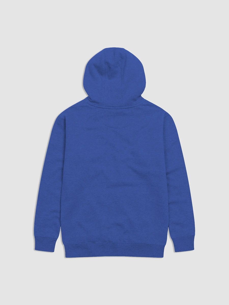 Reckless Takes are Welcome - Hoodie product image (2)