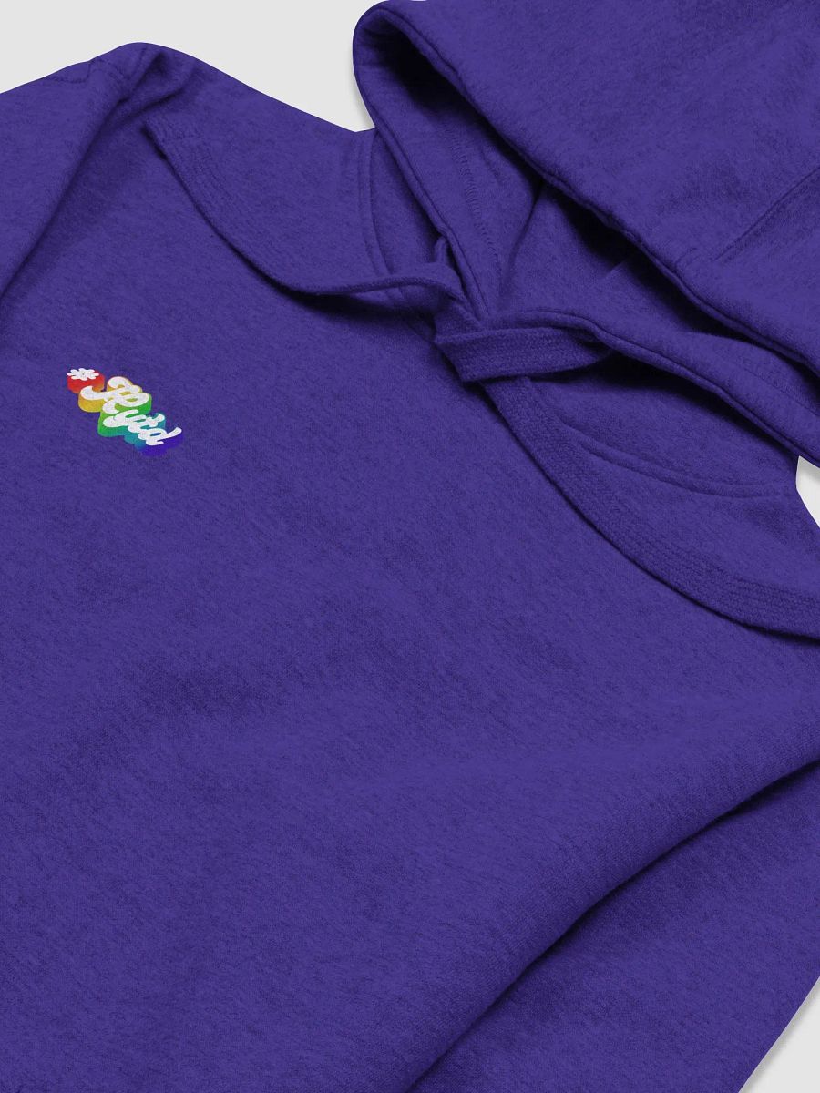 HYTD Hoodie product image (12)
