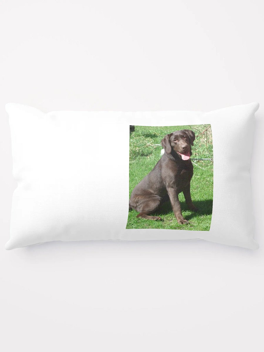 farm dog product image (13)