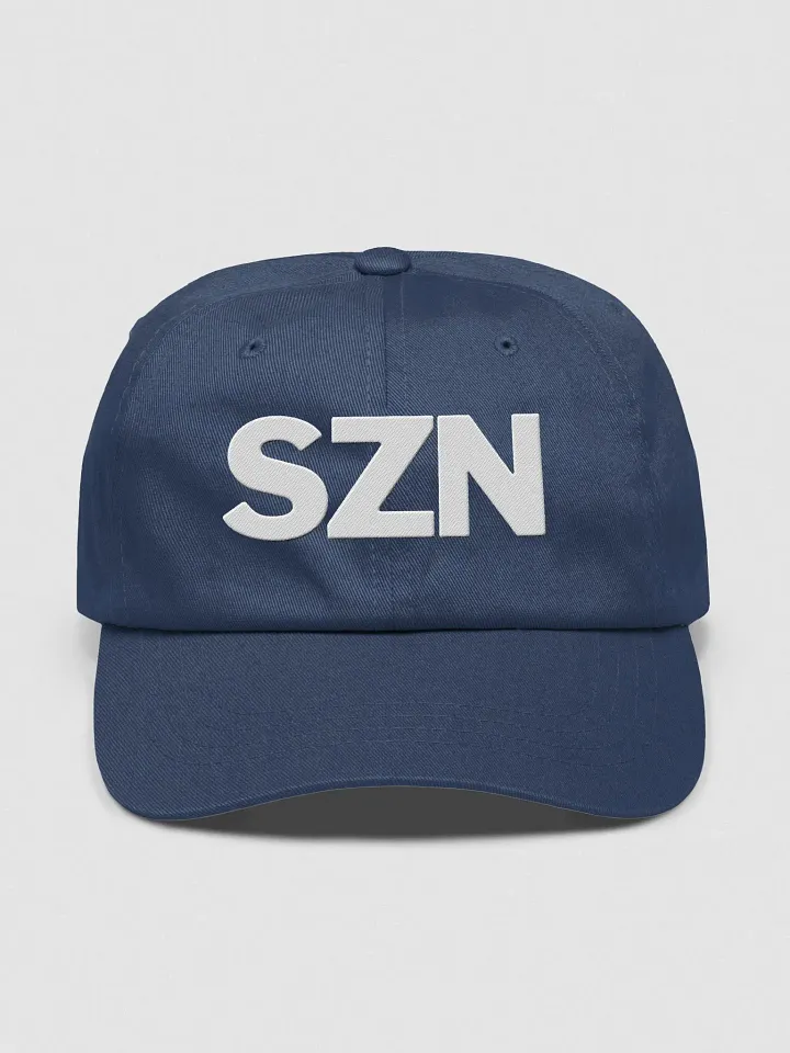 Dad Hat product image (1)