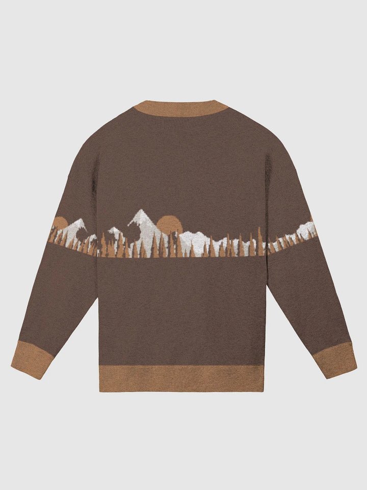 Banner Sweater product image (8)