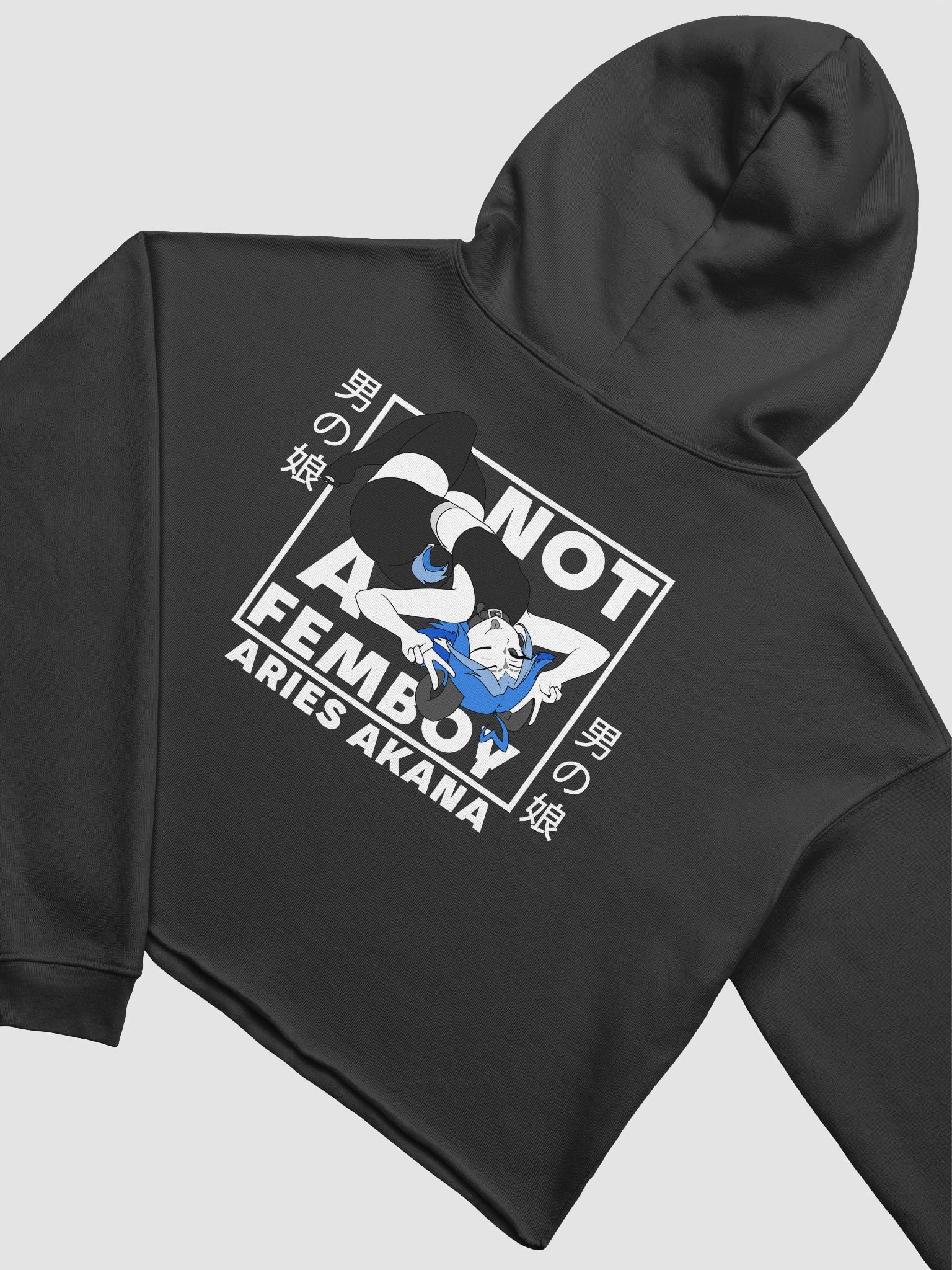 Not-A-Femboy Cropped Hoodie product image (3)