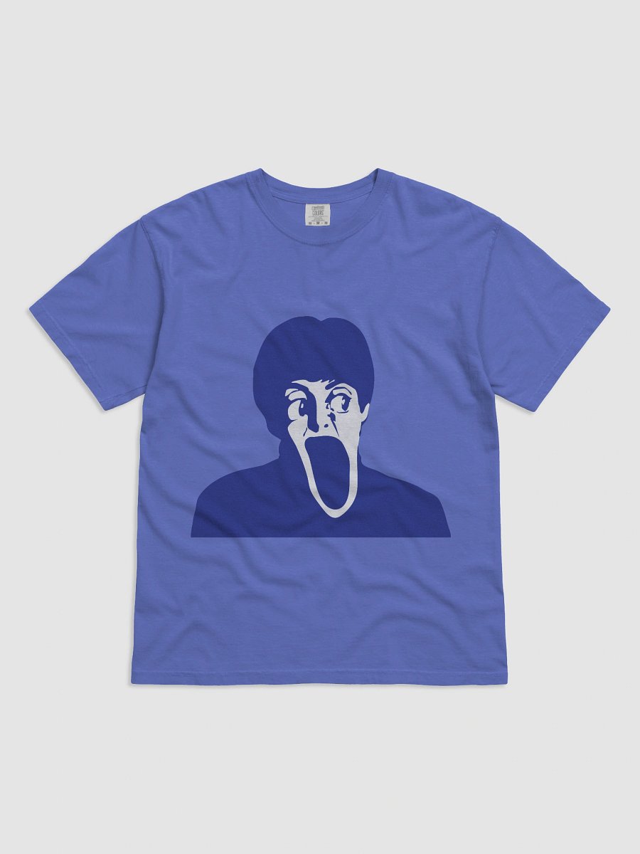 Paul T-Shirt Heavyweight product image (1)