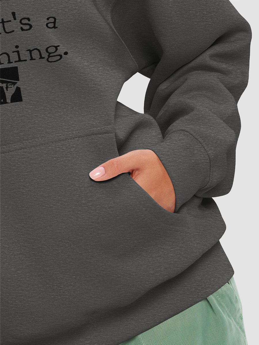 Conspiracy Theorist product image (38)