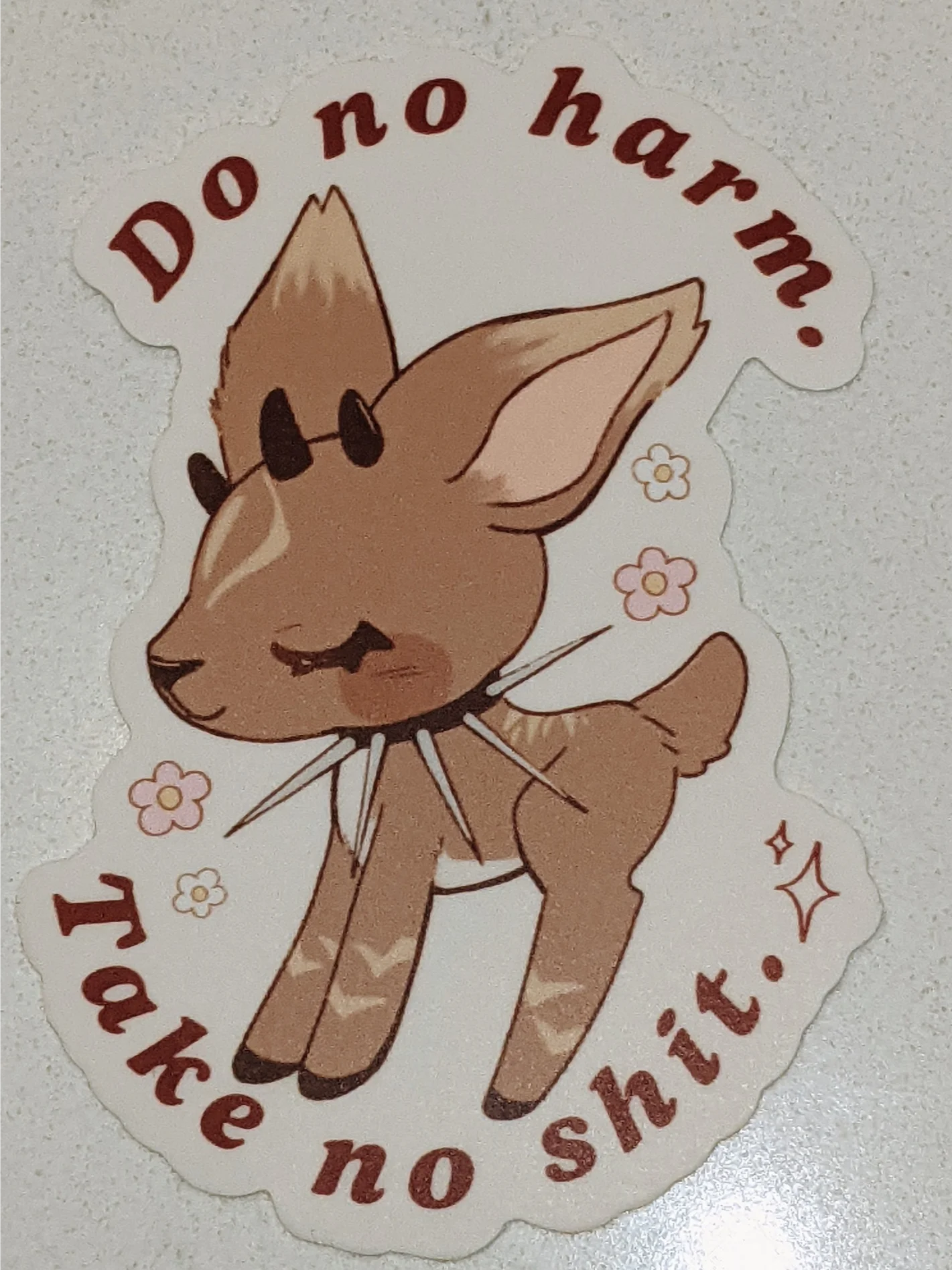 Do No Harm / Take No Sh*t sticker product image (2)